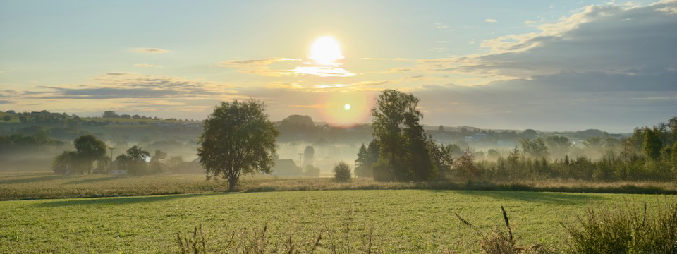 Sonnenaufgang in einer grünen Landschaft