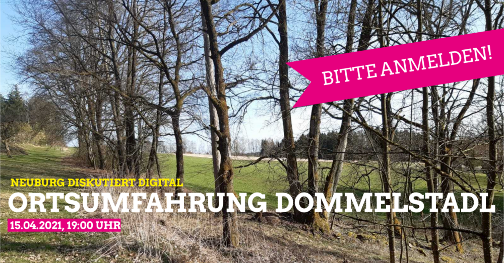 Neuburg diskutiert digital: Ortsumfahrung Dommelstadl