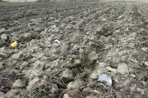 Plastikmüll der Gärtnerei Peschl in Rothof / Neuhaus am Inn