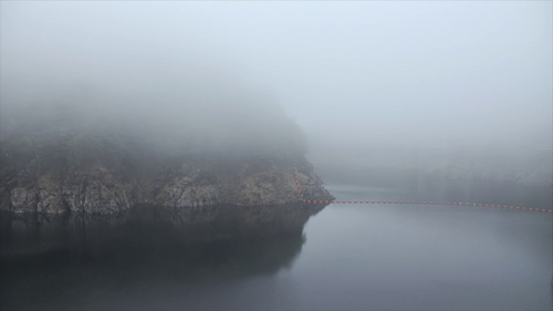 Fukushimas Natur sieht unberührt aus: Strahlung sieht man nicht.