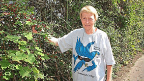 Dr. Helgard Reichholf-Riehm legt viel Wert auf naturnahe Flächen. So hat sie in ihrem Garten eine Vogelhecke gepflanzt, in der "reges Leben" herrscht, wie sie sagt. −Foto: Gerleigner 