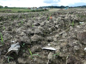 Plastikmüll der Inntal-Gärtnerei in Rothof / Neuhaus am Inn
