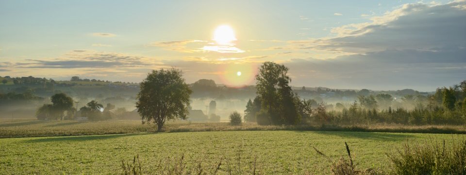 Sonnenaufgang in einer grünen Landschaft