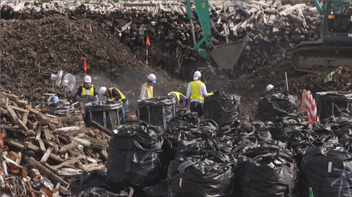 Aufräumen in Fukushima: Super-GAU in Plastiktüten