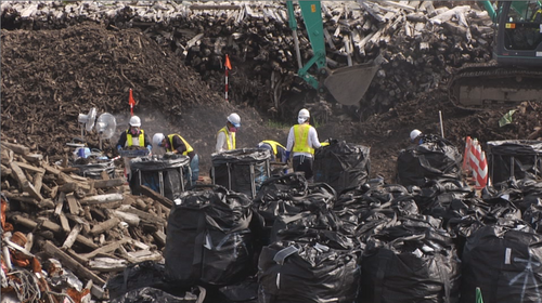 Aufräumen in Fukushima: Super-GAU in Plastiktüten