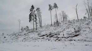 Film für Seehofer und Söder: 55 Sekunden Verwüstungen