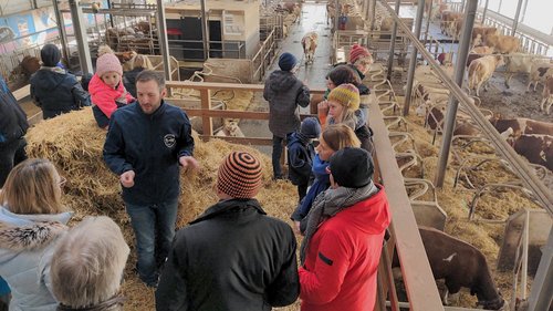 Im Stall auf dem Hanindl-Hof