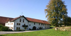 Hafninger-Hof in Tiefenbach