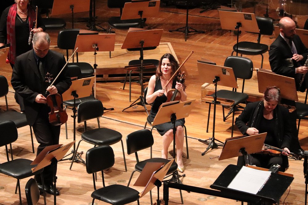 Bild von Ricardo Mallerba auf Pixabay 